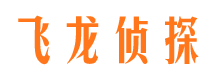 林甸市侦探公司